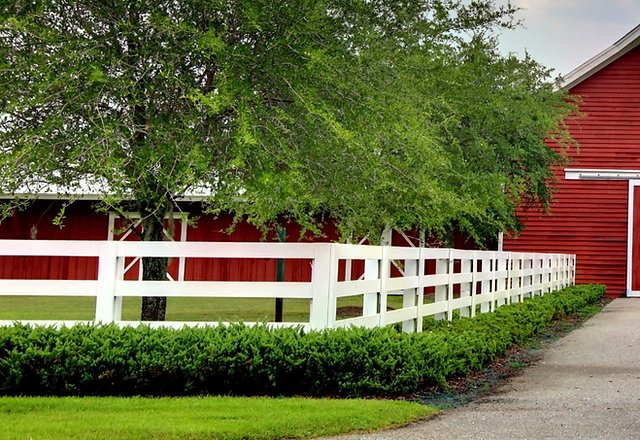 A white wooden fence lines a neatly trimmed lawn beside a red barn, with green shrubs and leafy trees surrounding the scene.