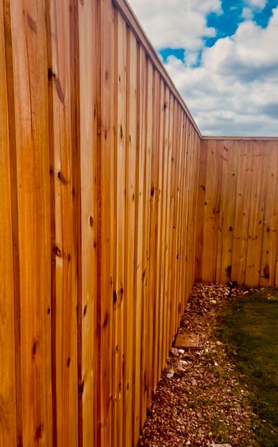 vertical board on board fence