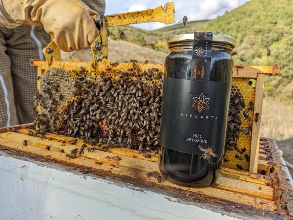 En la foto vemos un tarro de miel con el etiquetado de Mielarte reposado en una colmena abierta. Detrás, se ve el guante de nuestro compañero que está usando un levantacuadros para levantar uno de los cuadros cubierto de abejas trabajando.