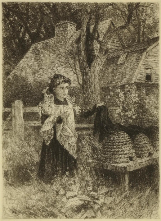Grabado titulado Telling the Bees, de 1882. Por Albert Fitch Bellows. Se ve una joven cubriendo las colmenas tradicionales de paja con una tela negra en señal de luto.