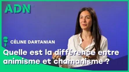 Quelle est la différence entre animisme et chamanisme ?