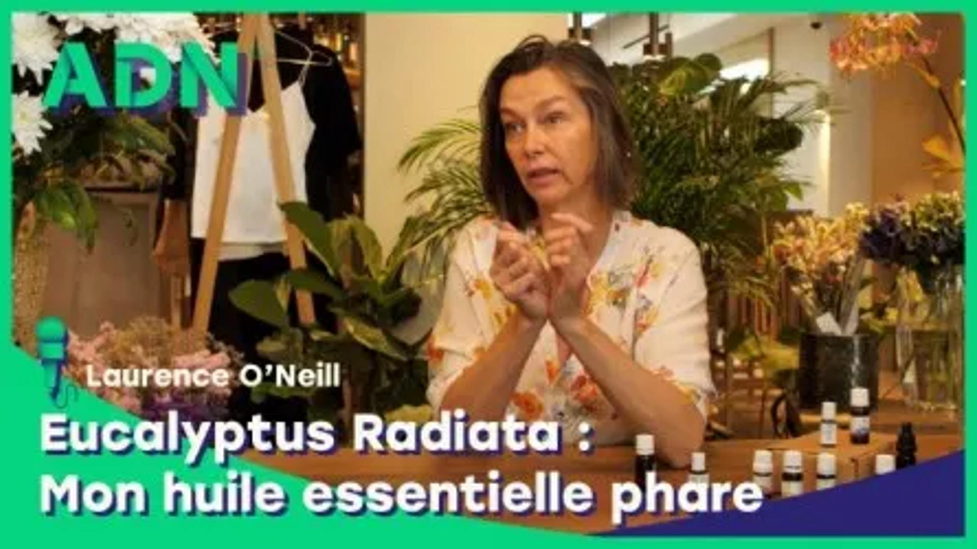 Eucalyptus Radiata : Mon huile essentielle phare