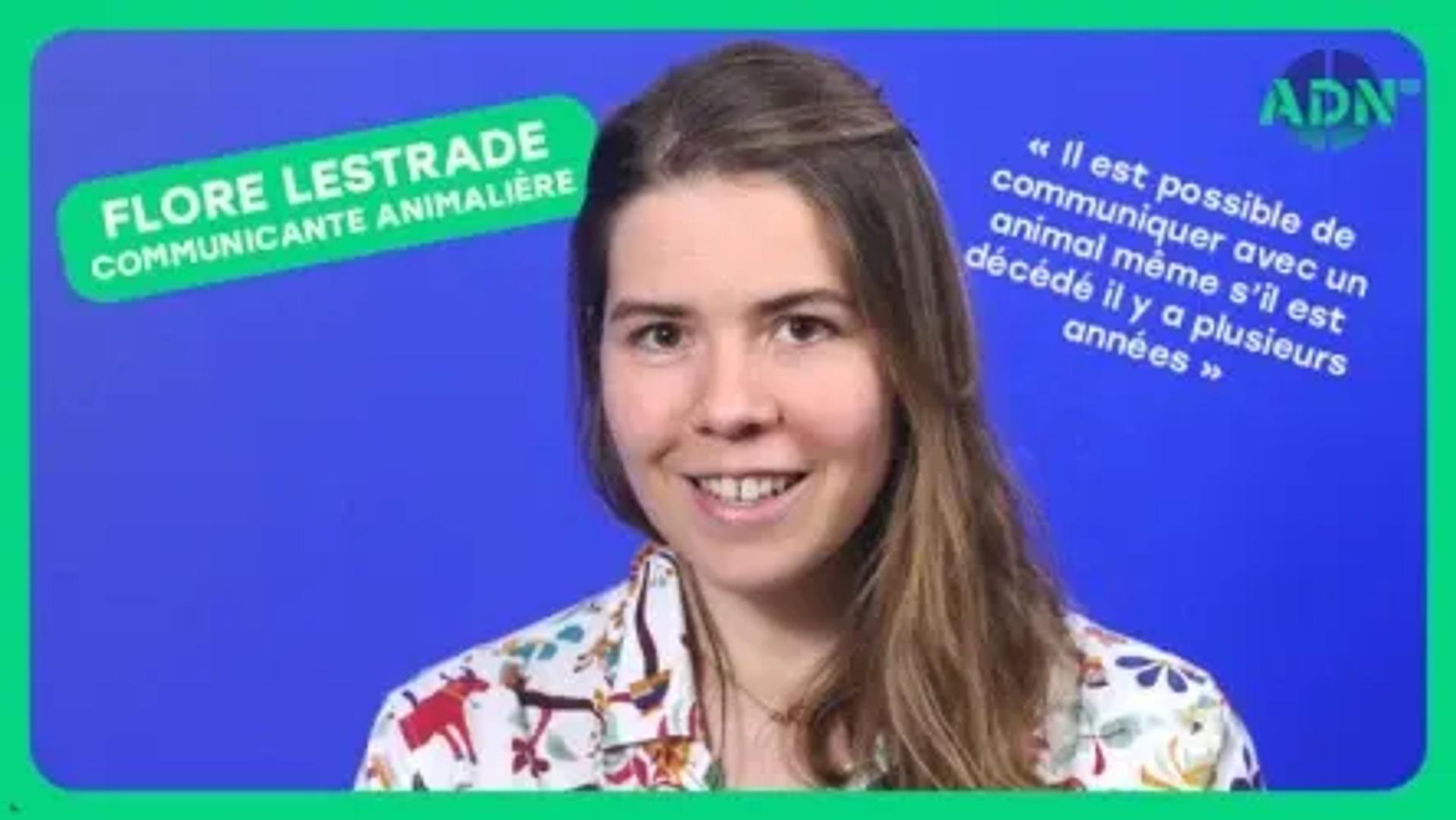 La communication animale et mes expériences