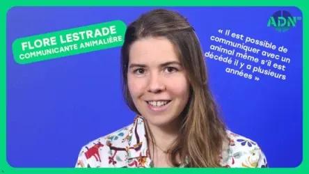 La communication animale et mes expériences