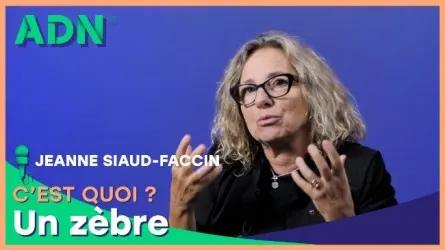 Un zèbre, c'est quoi ?