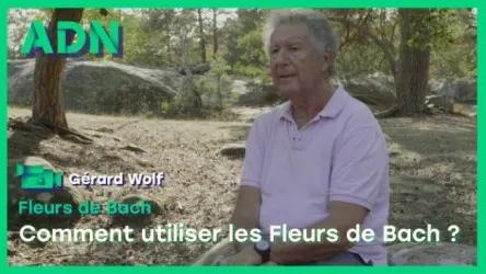 Comment utiliser les Fleurs de Bach ?