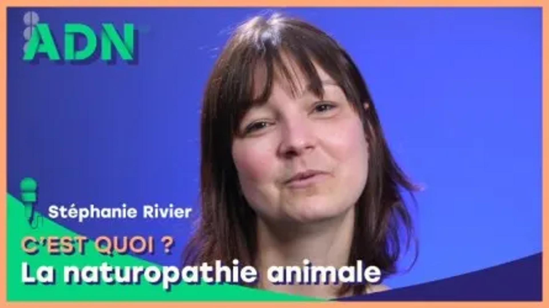 La naturopathie animale, c'est quoi ?