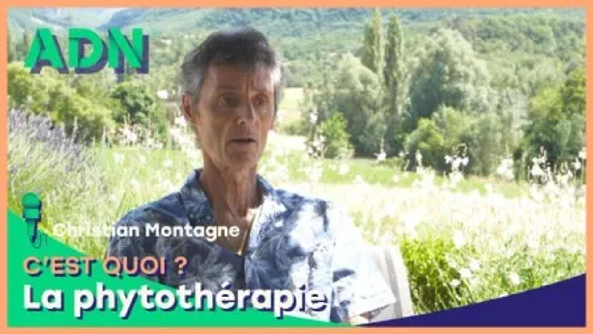 La phytothérapie, c'est quoi ?
