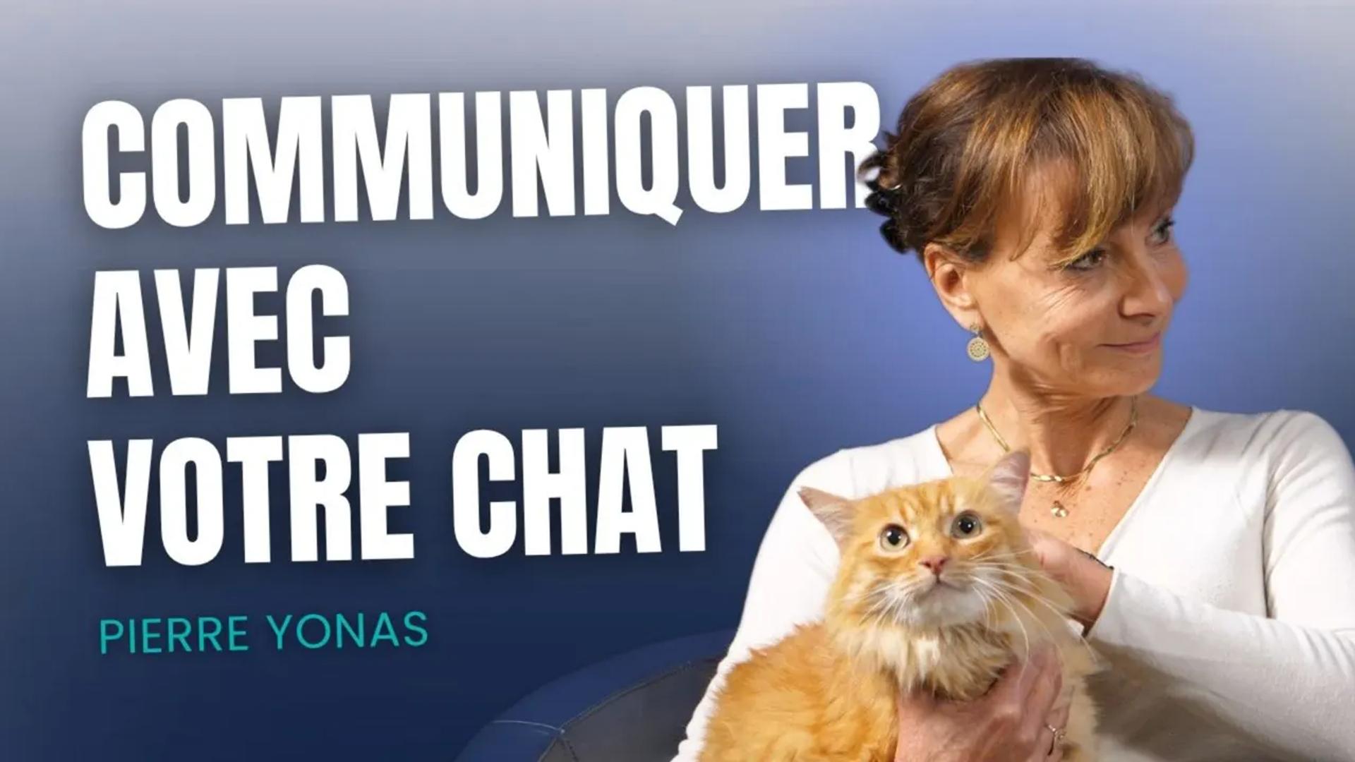 Communiquer avec votre chat
