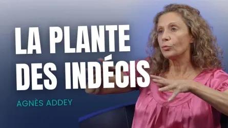 Indécis ? Cette plante peut vous aider
