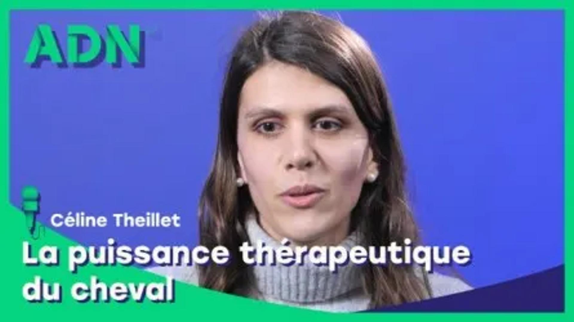 La puissance thérapeutique du cheval