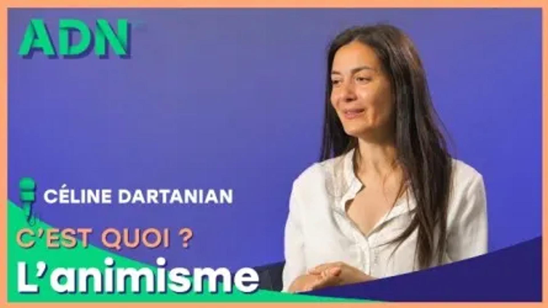 L’animisme, c’est quoi ?