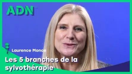 Les 5 branches de la sylvothérapie