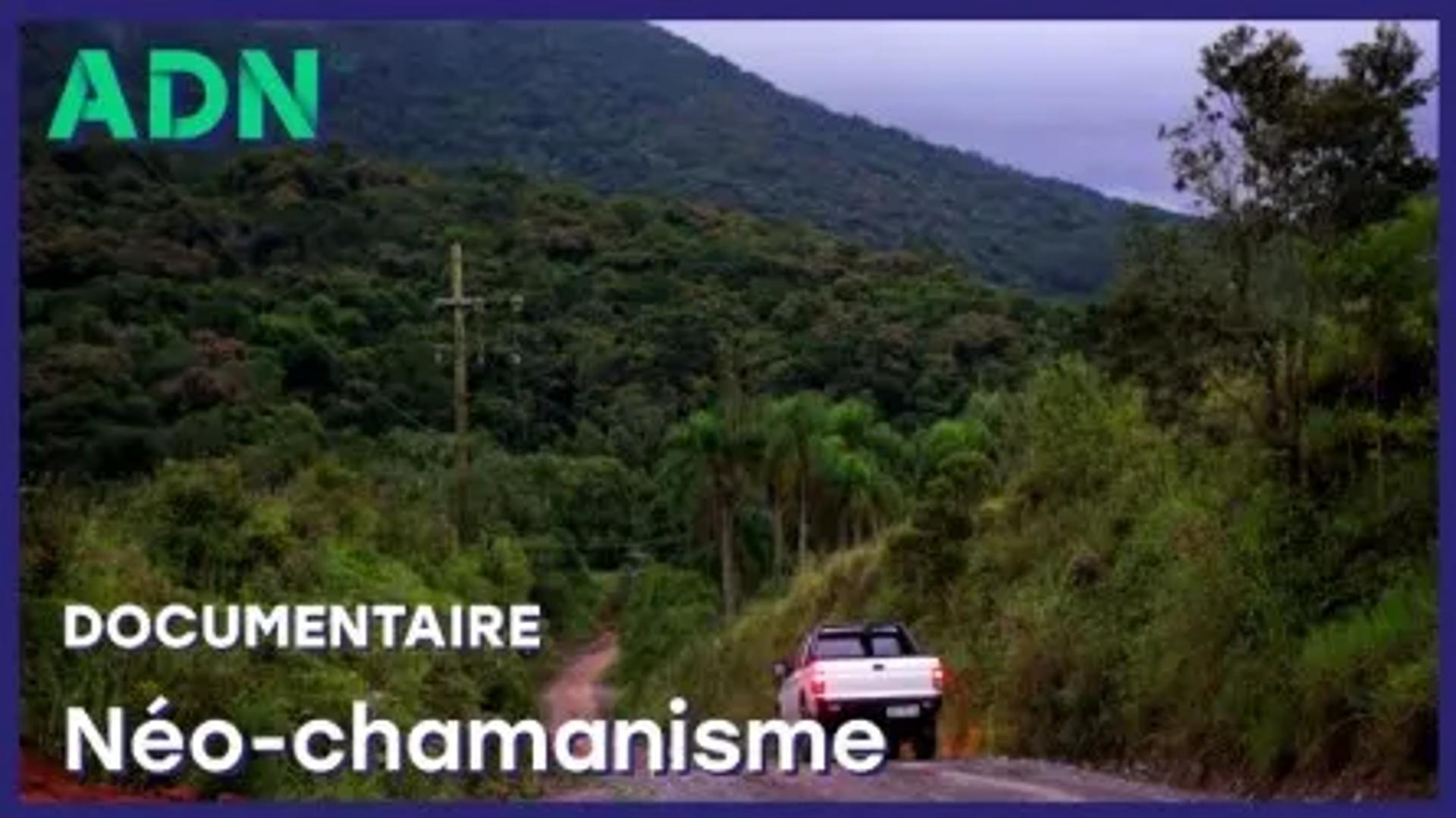 Neo-chamanisme