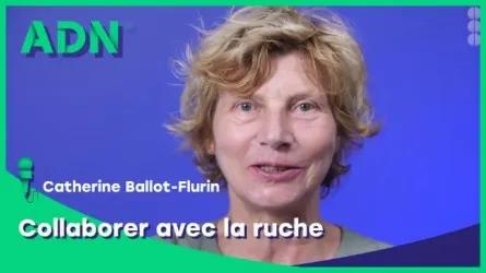 Collaborer avec la ruche
