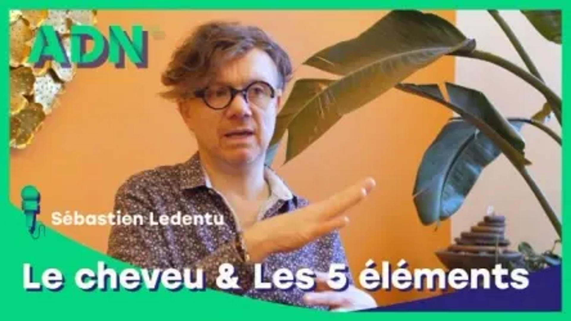 Le cheveu & Les 5 éléments