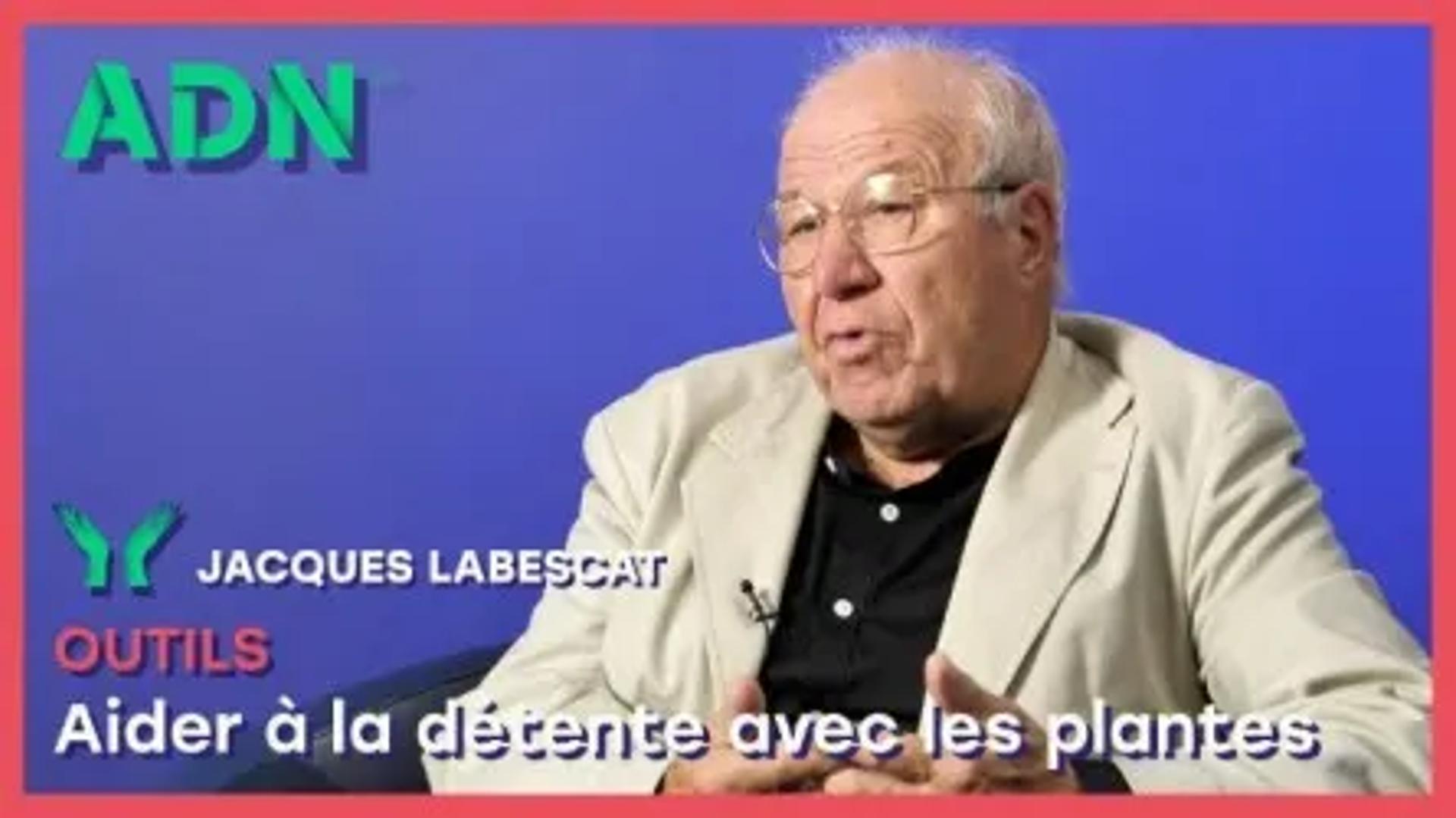 Outils : Aider à la détente avec les plantes