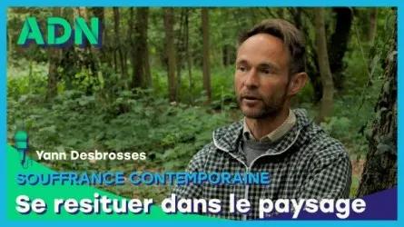 Souffrance contemporaine - Se resituer dans le paysage