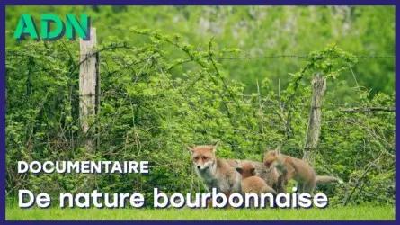 De nature bourbonnaise