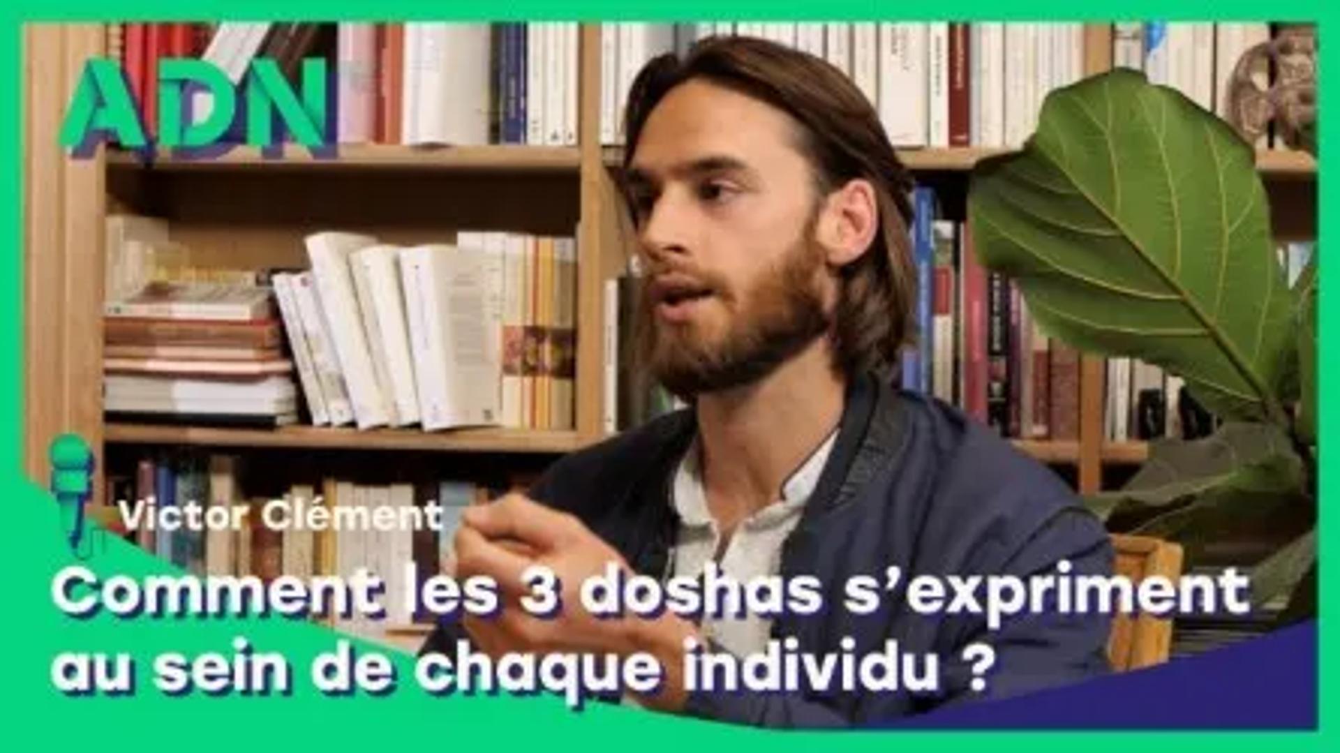 Comment les 3 doshas s'expriment au sein de chaque individu ?
