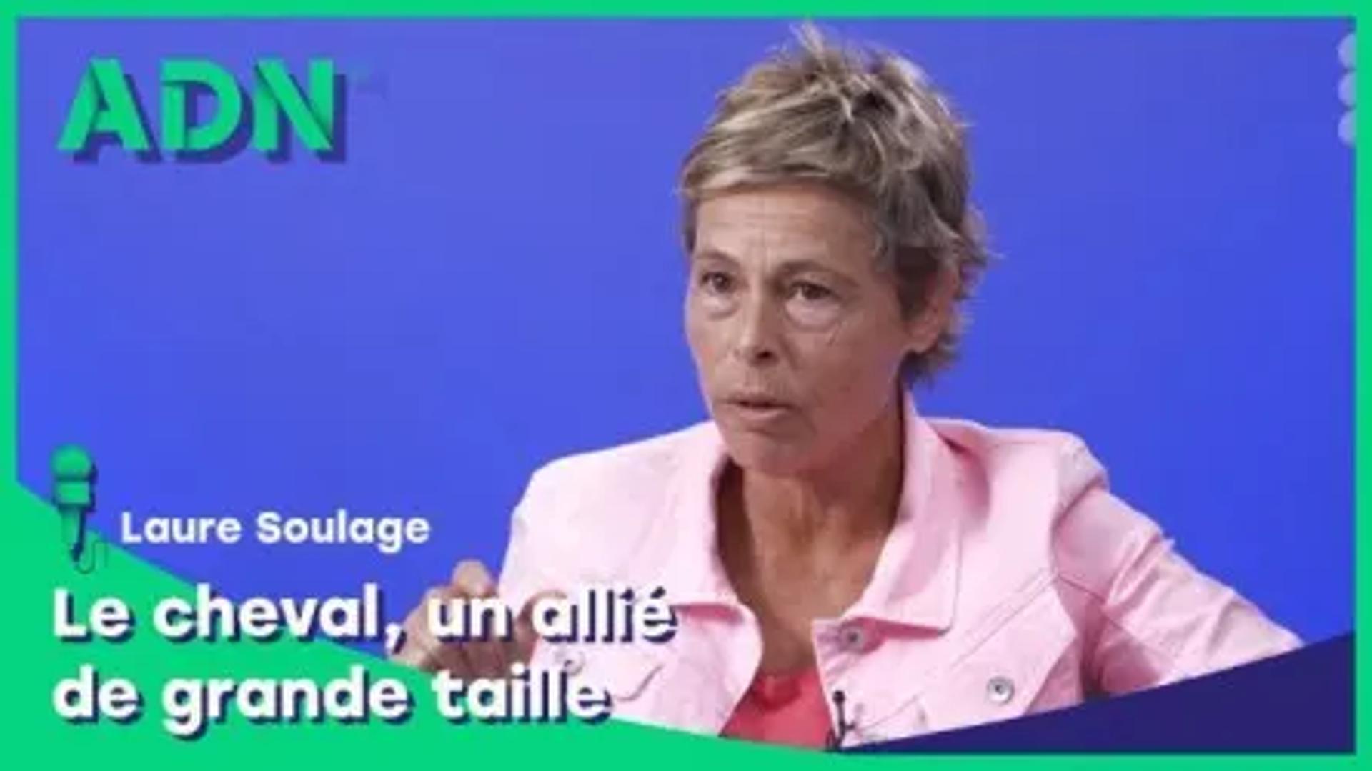 Le cheval, un allié de grande taille