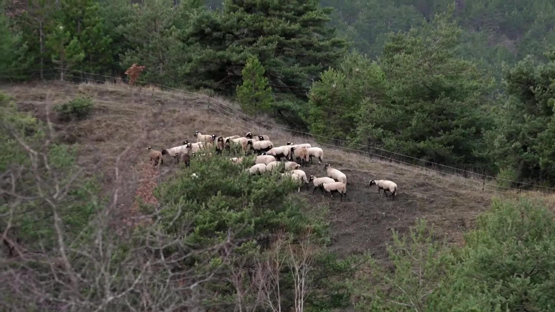 Sur les chemins de traverse (5/6)