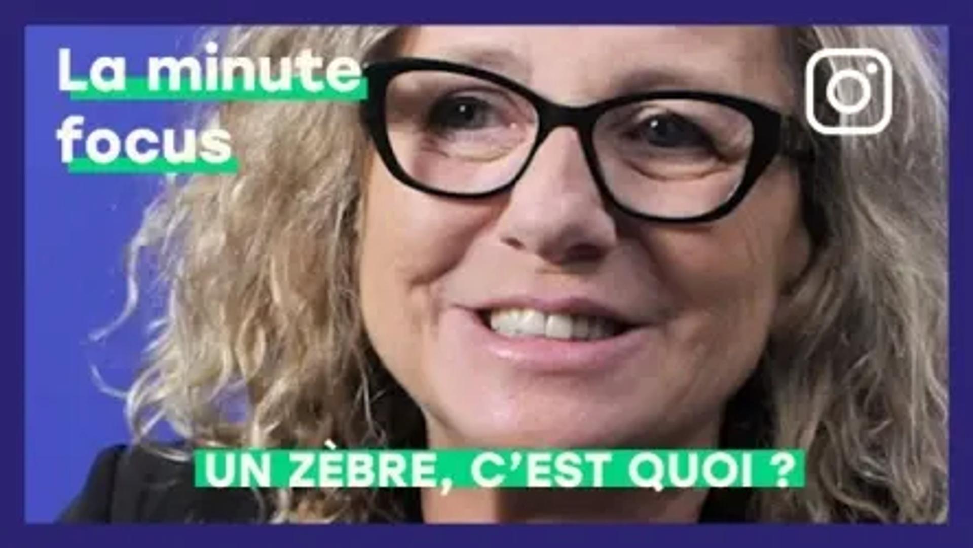 Un zèbre, c'est quoi ?