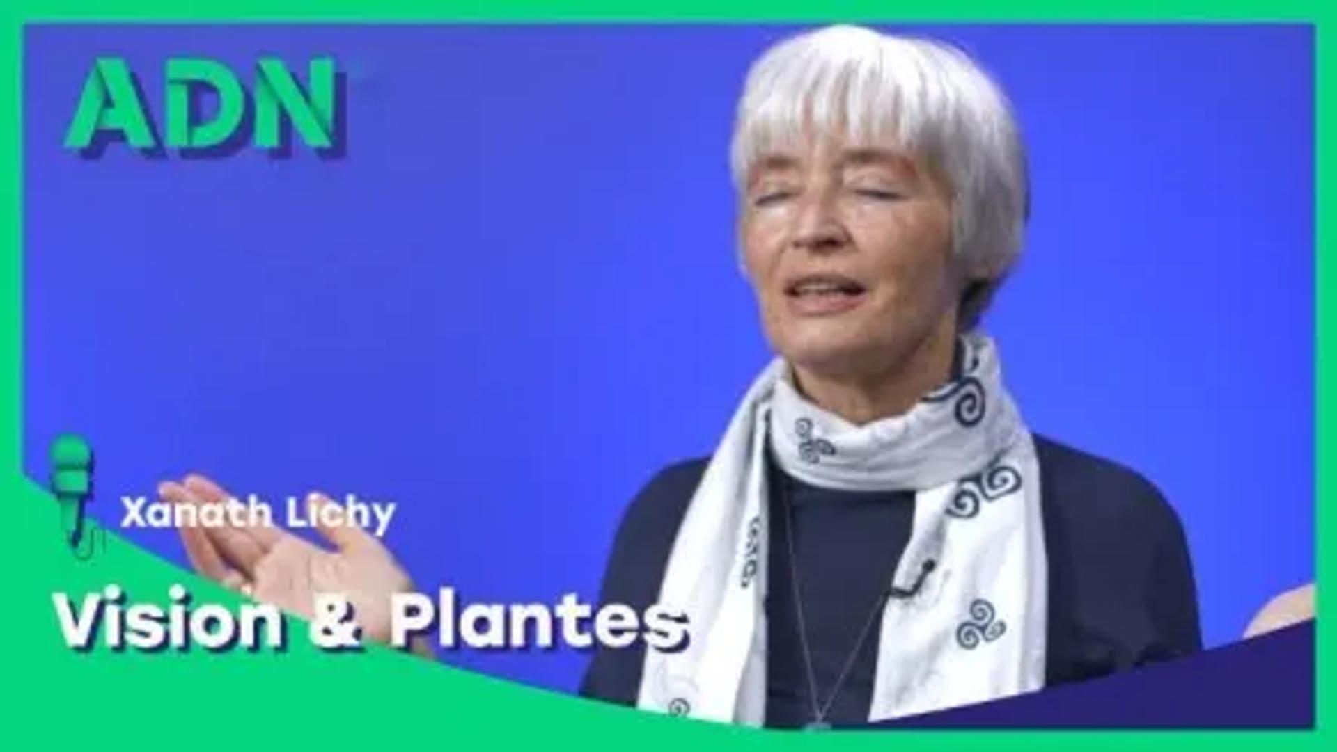 Vision & Plantes