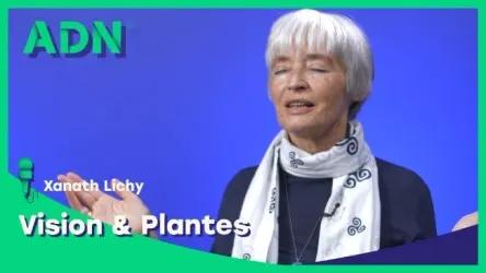 Vision & Plantes