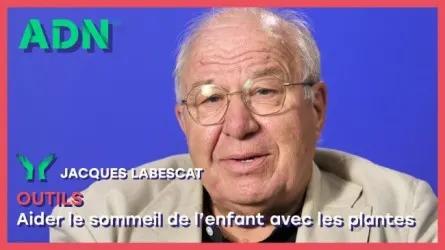 Outils : Aider le sommeil de l’enfant avec les plantes