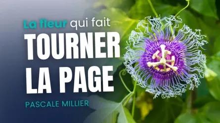 Soutien en fin de vie avec les fleurs de Bach