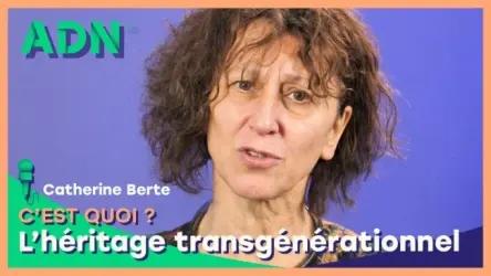 L’héritage transgénérationnel, c’est quoi ?