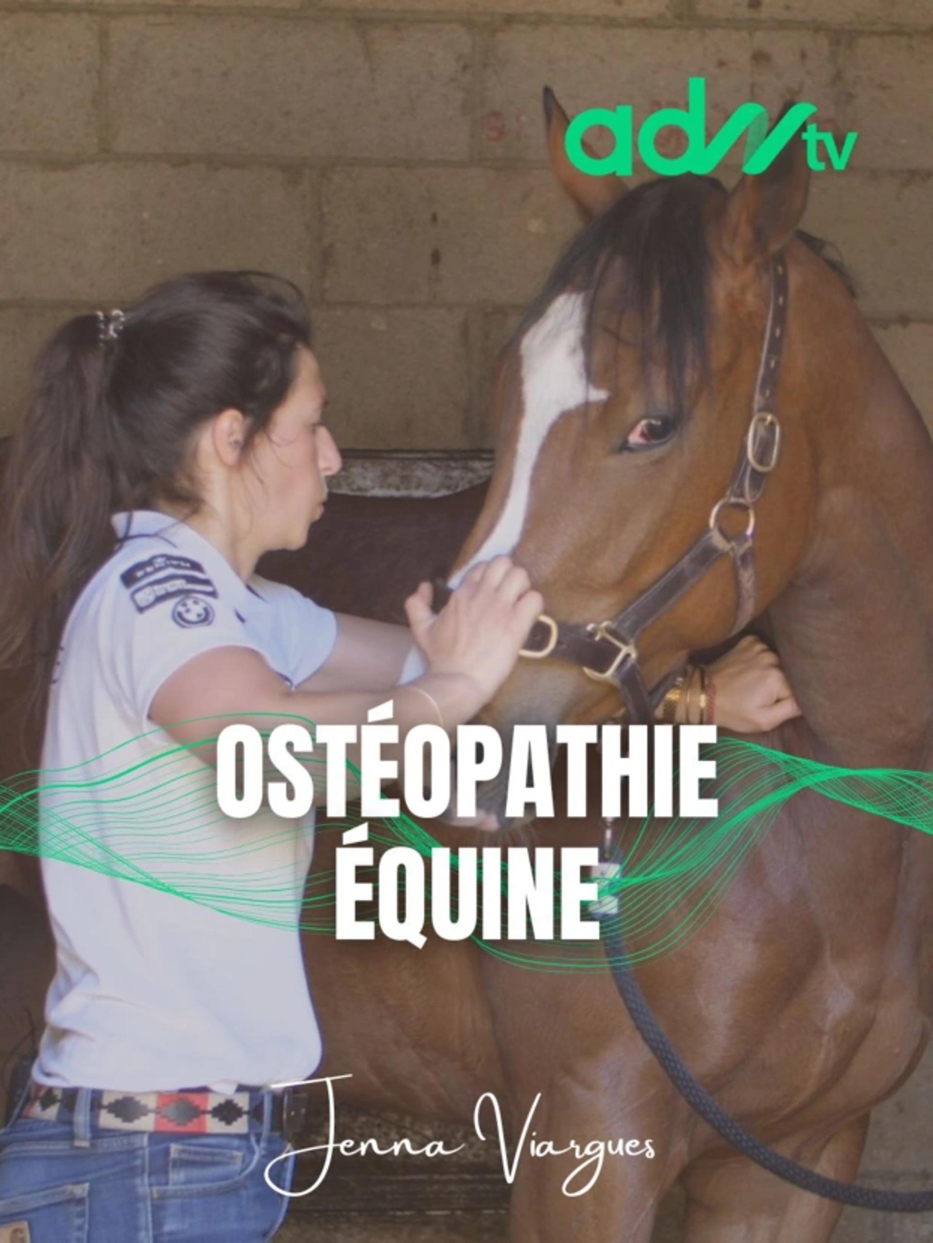 Ostéopathie Équine