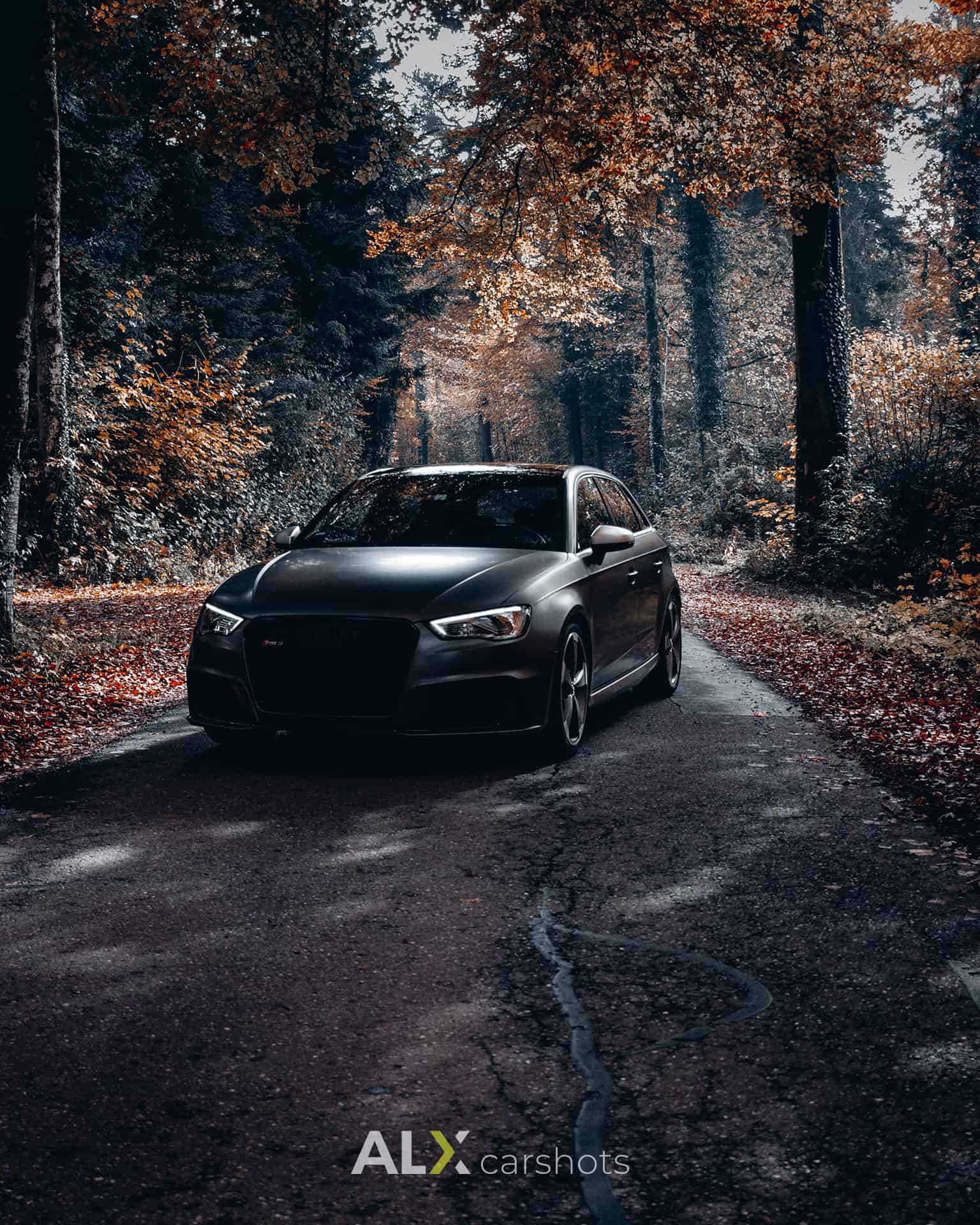 Audi RS3 mit eingeschalteten Scheinwerfern auf einem laubbedeckten Waldweg im Herbst