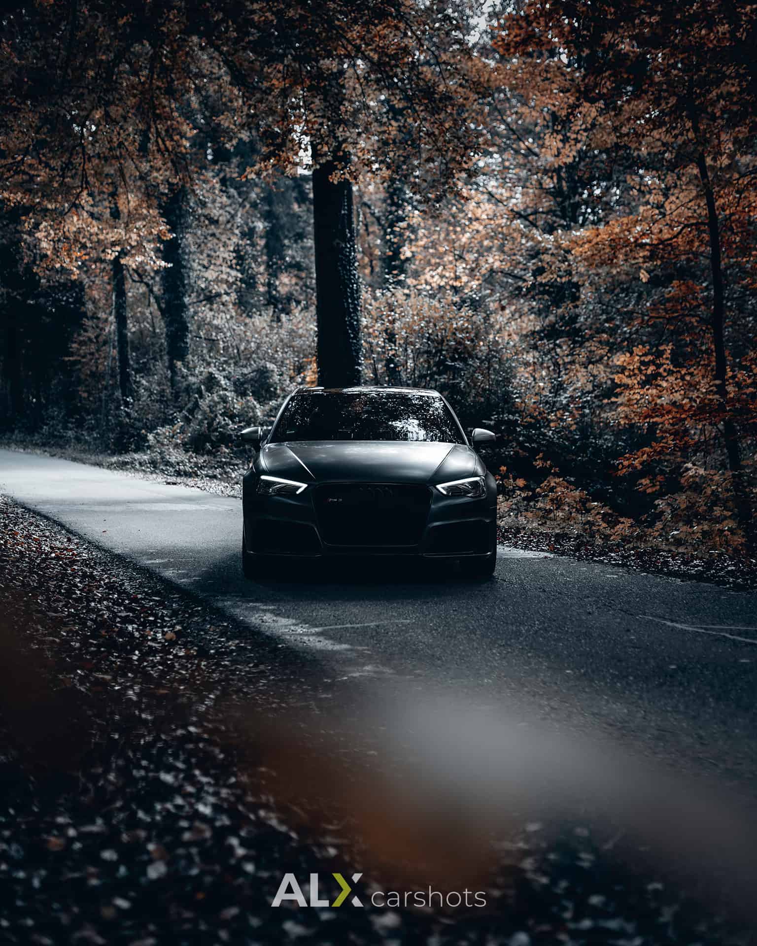 Audi RS3 frontal auf einer schmalen Waldstraße, im Vordergrund unscharfes Herbstlaub