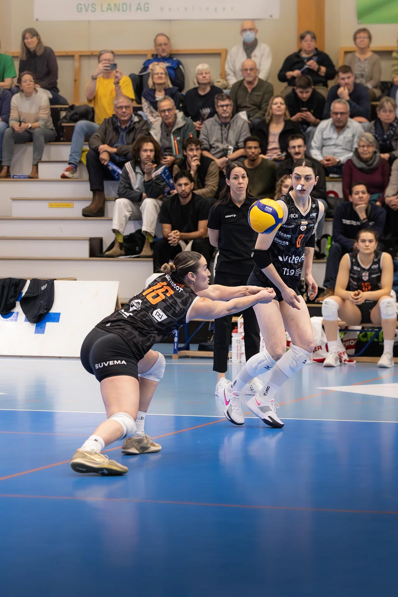 Tia Scambray (Viteos NUC) im Außenangriff, NLA-Frauen-Spiel gegen VC Kanti Schaffhausen.