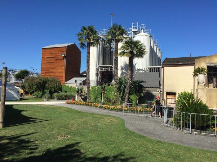A beautiful day at Vector Arena in Auckland. (Photo: James Taylor)