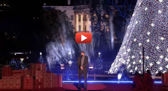 jt_christmastreelighting