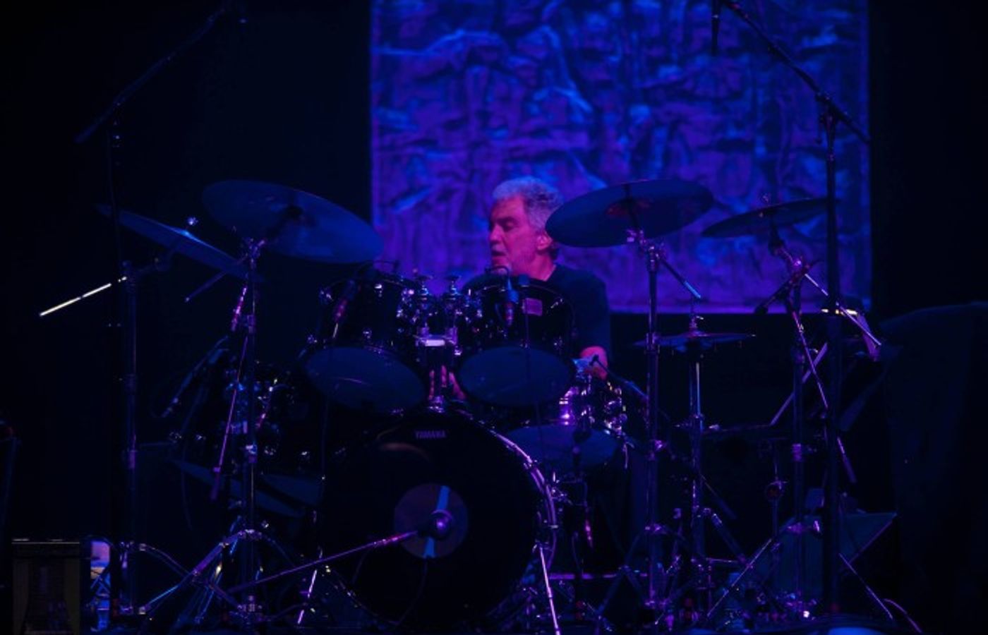 Steve Gadd