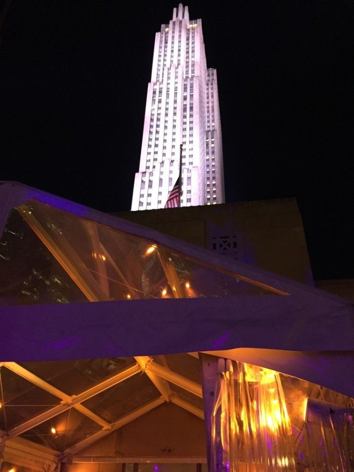 The view from Rockefeller Center. Photo by Ellyn Kusmin.