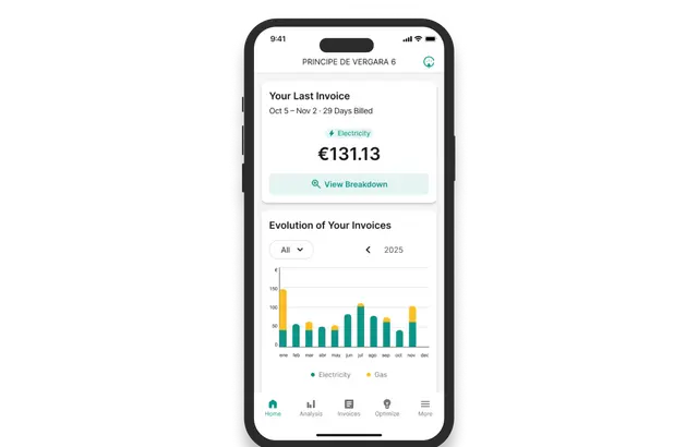 Snapshot of Clevergy product
