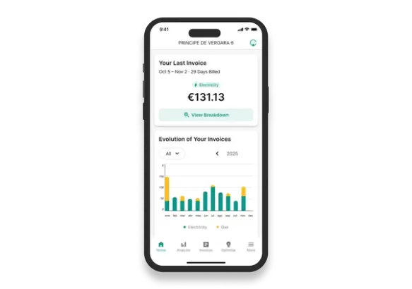 Snapshot of Clevergy product