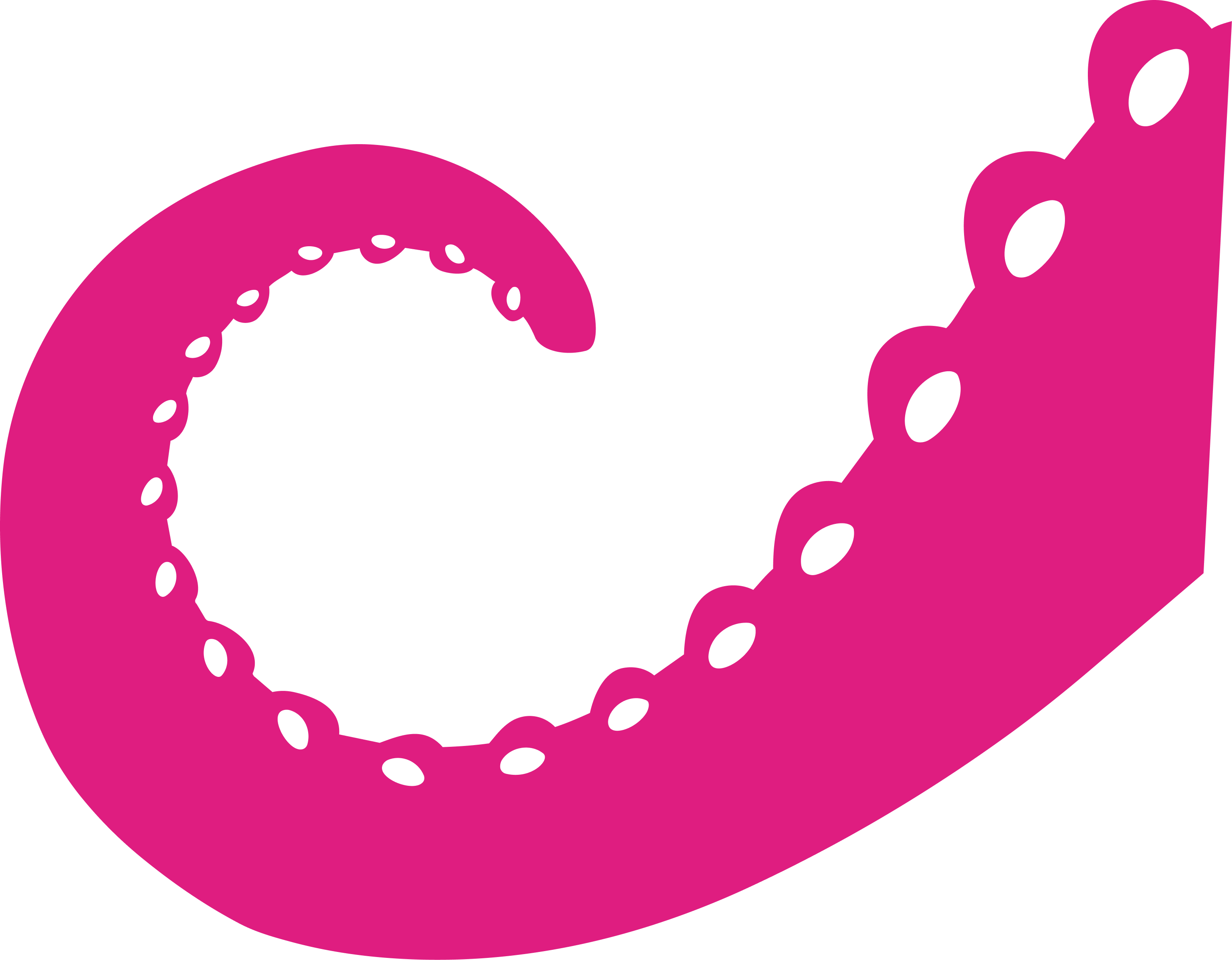 Bright pink curled octopus tentacle with suckers.
