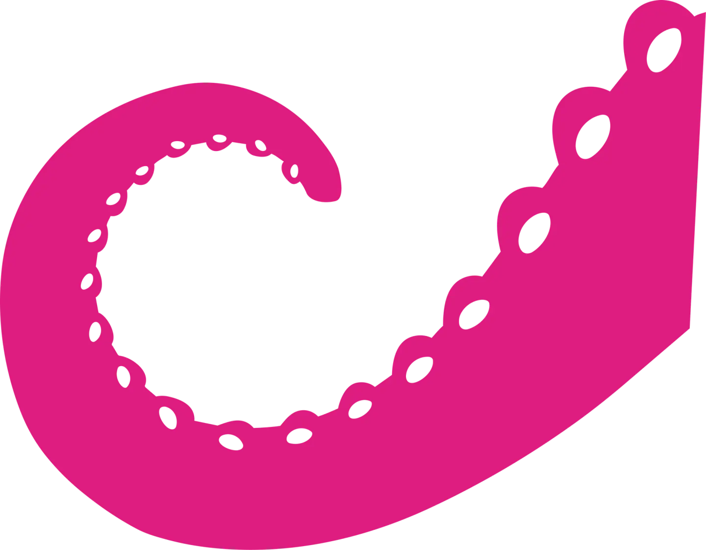 A pink octopus tentacle with suckers, curled on a white background.