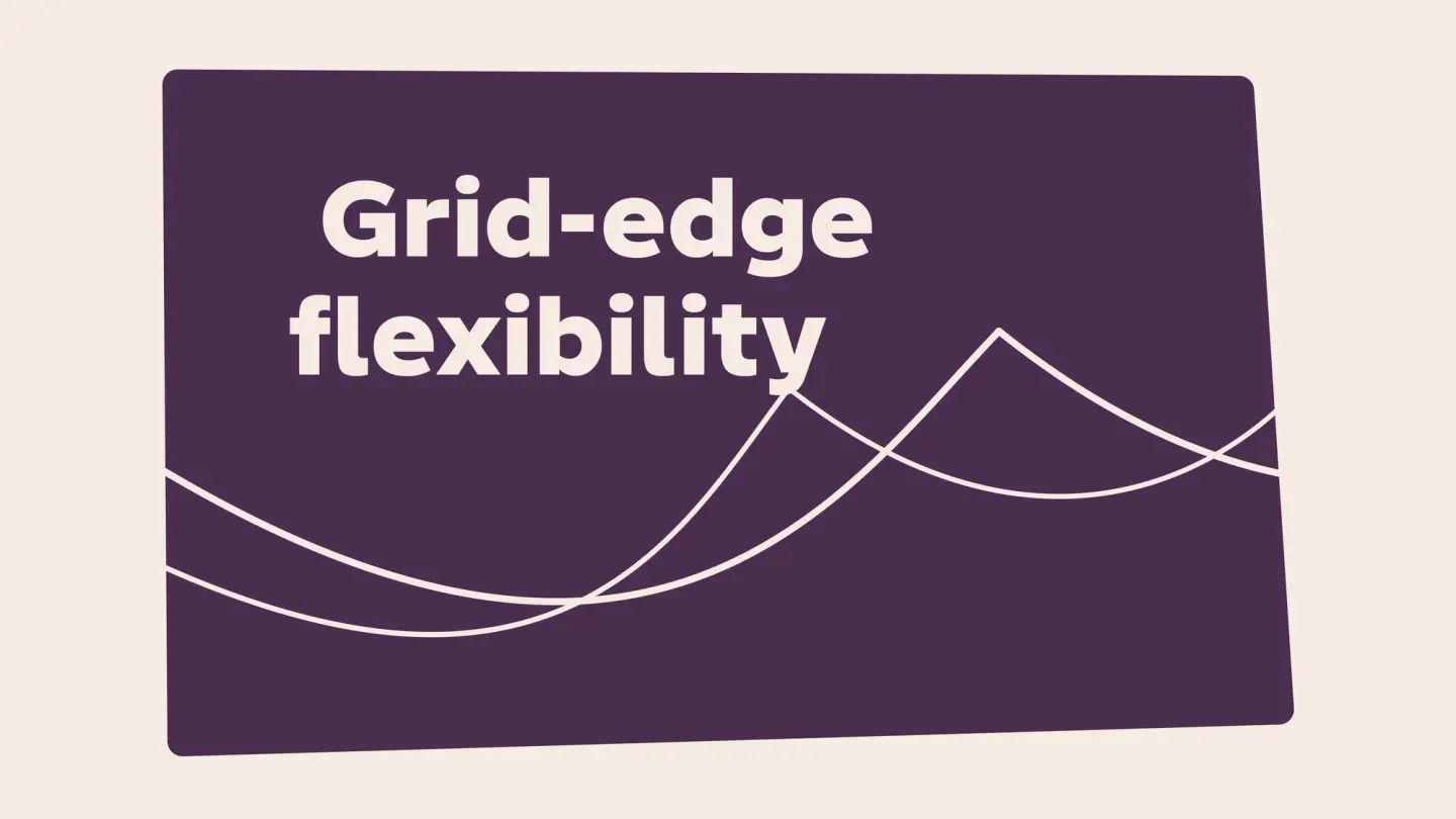 Illustration with the title "Grid-edge flexibility" on a dark purple card, featuring abstract white line graphs representing energy flows.