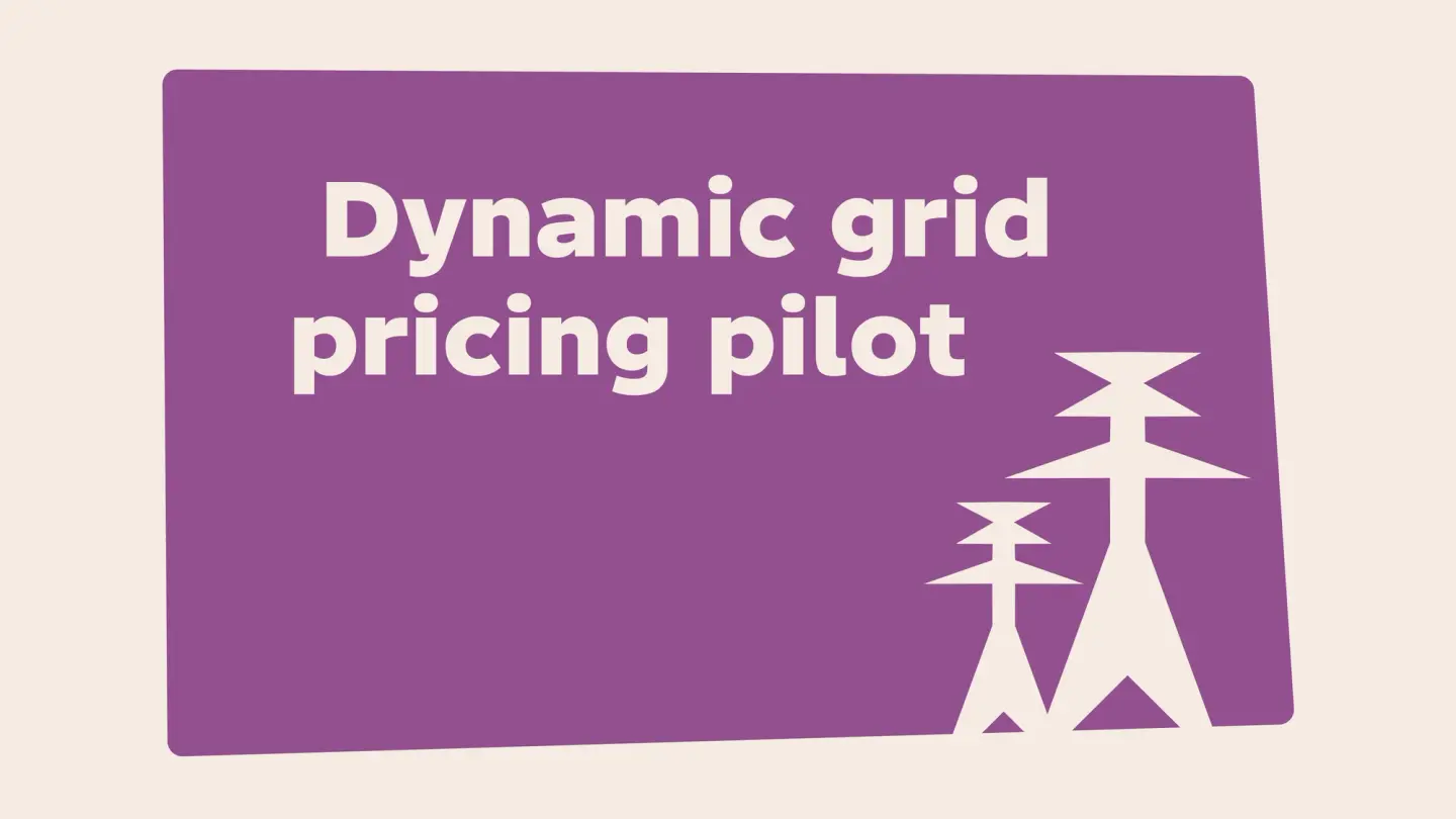 Illustration with the title "Dynamic grid pricing pilot" on a purple card, featuring electricity transmission pylons.