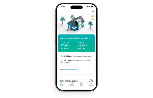 Screenshot of Eliq offering