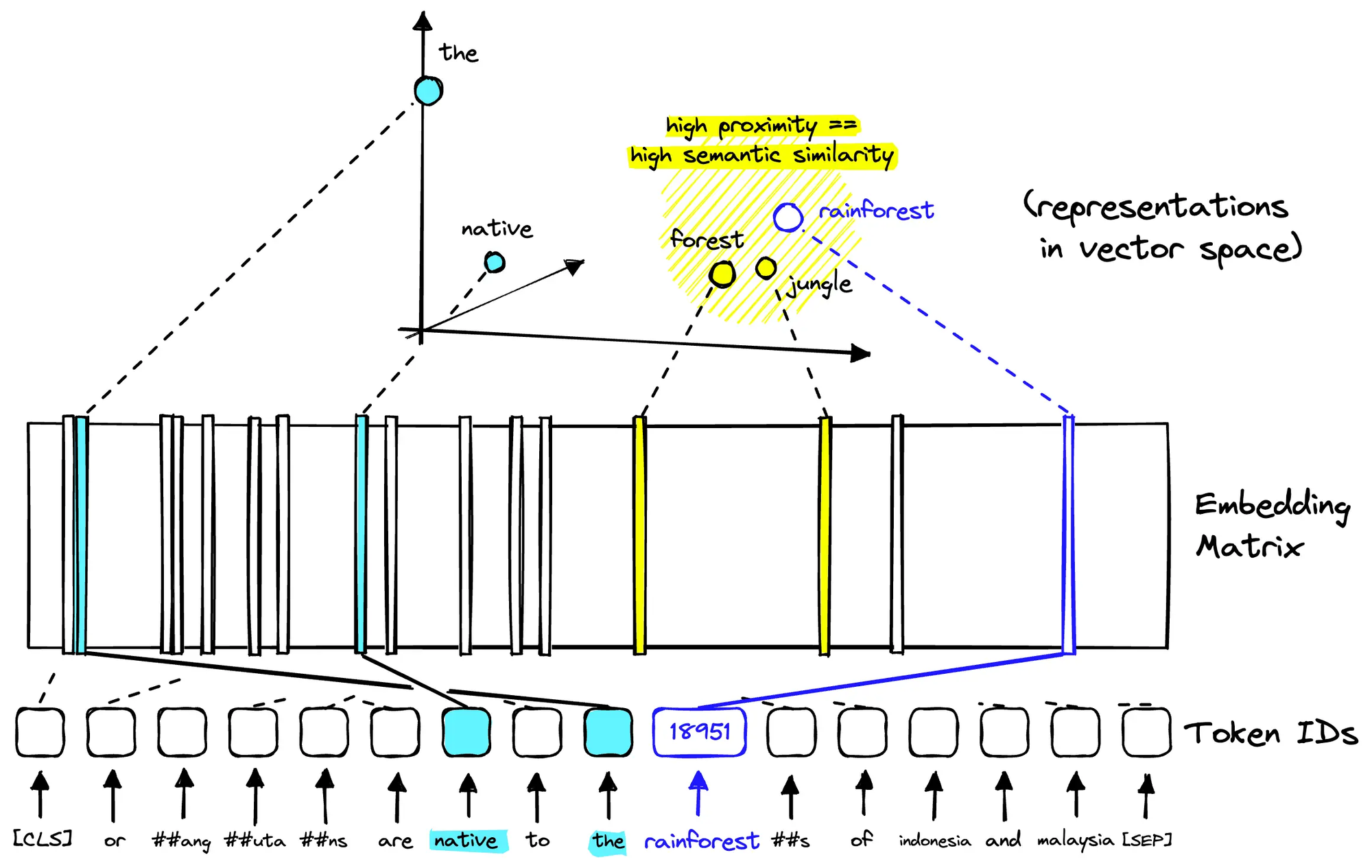 SPLADE Architecture