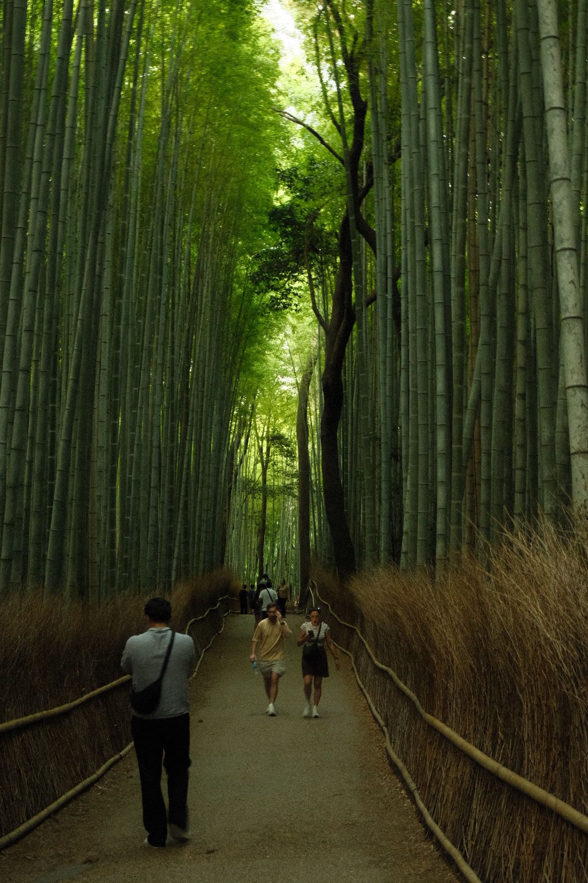 Arashiyama