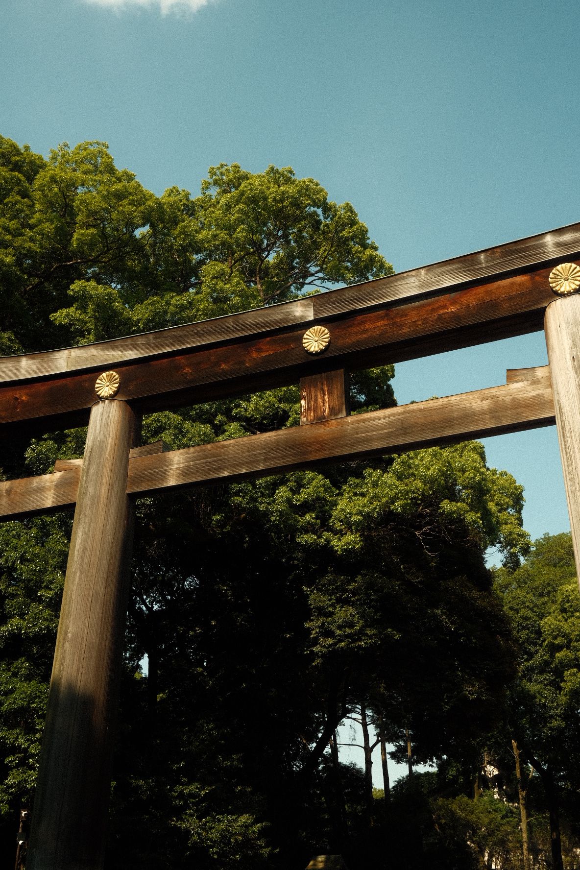 Meji